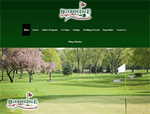 Tablet Screenshot of bloomingdalegc.com